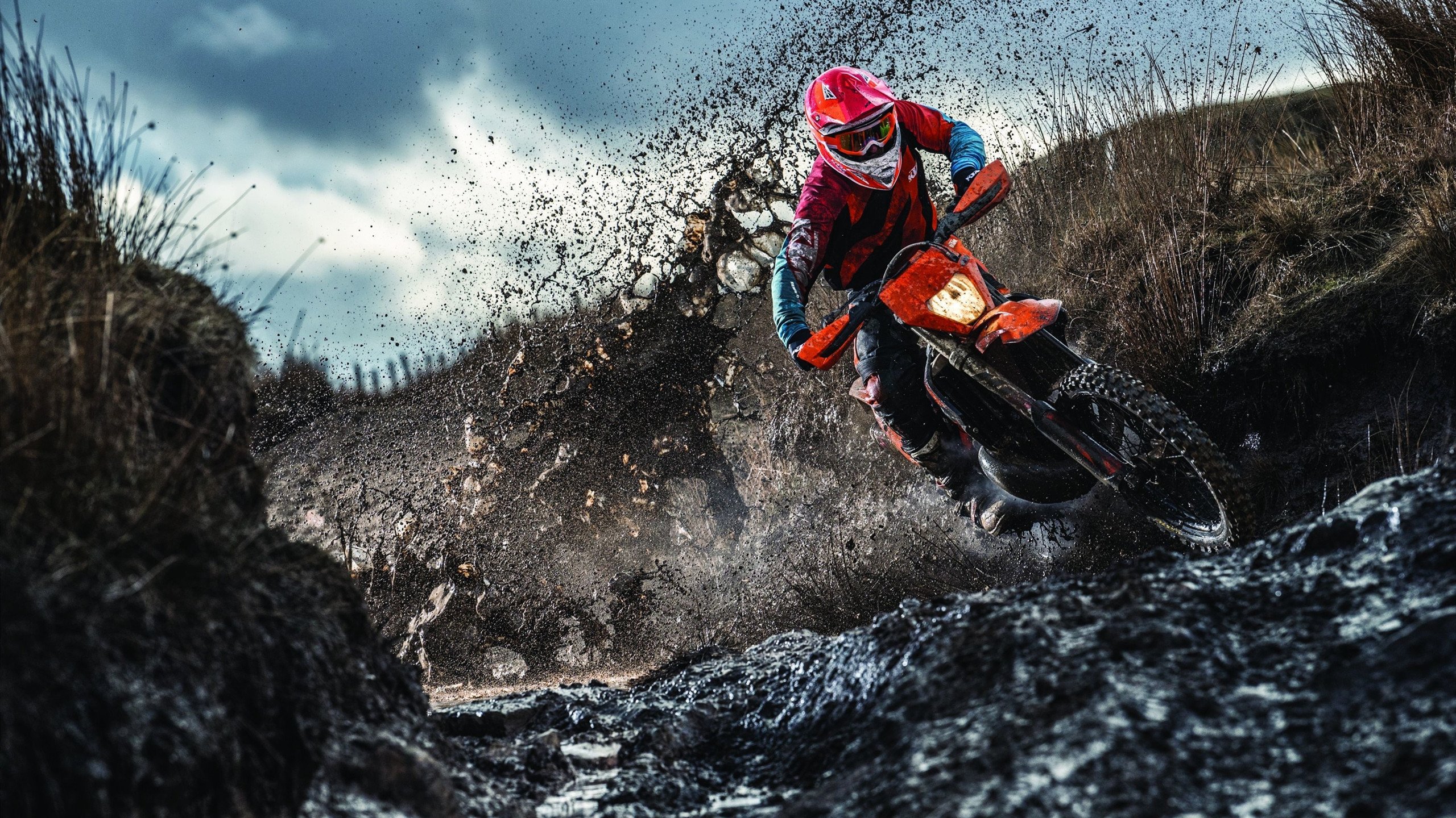 混合泳对决奥地利沉稳迎战,混合泳奥运