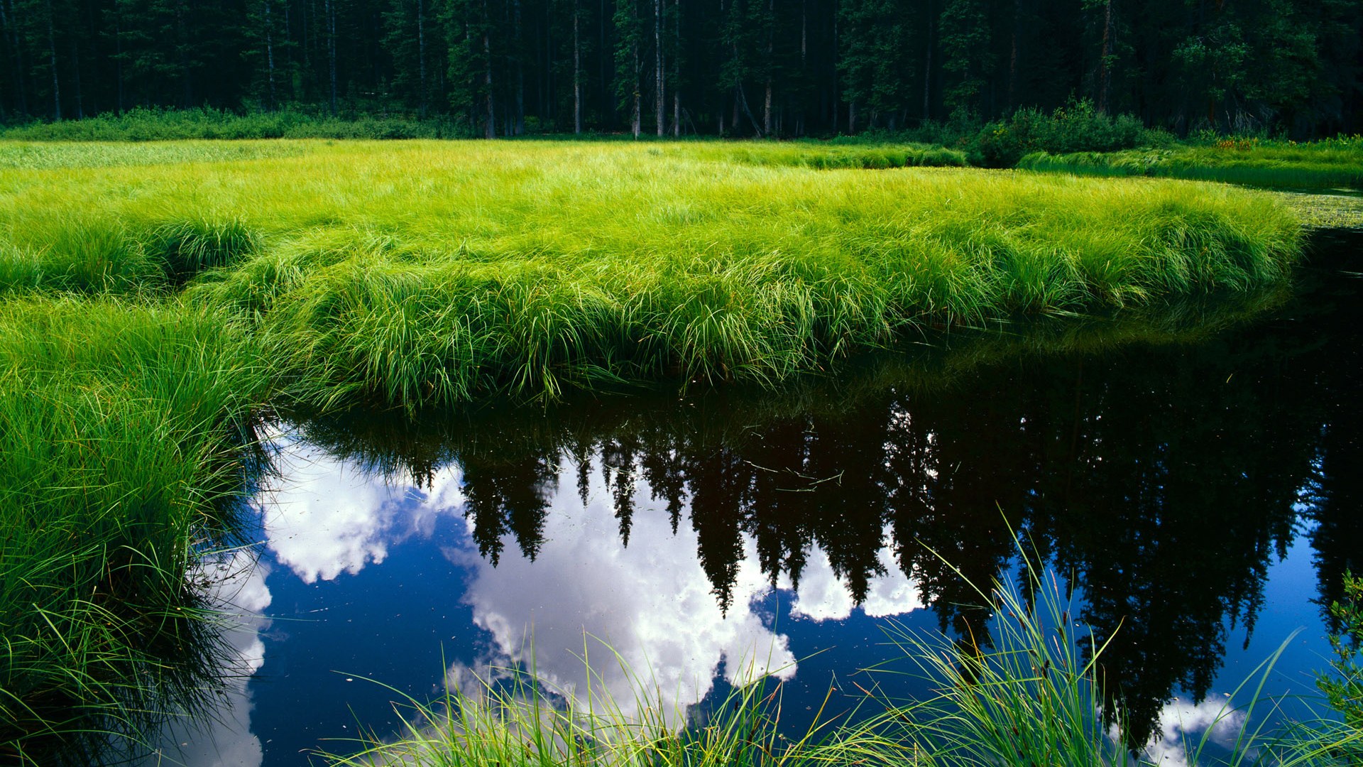 九游官网下载电脑版-_趣味运动会：家庭参与的快乐时光_，家庭趣味运动会作文