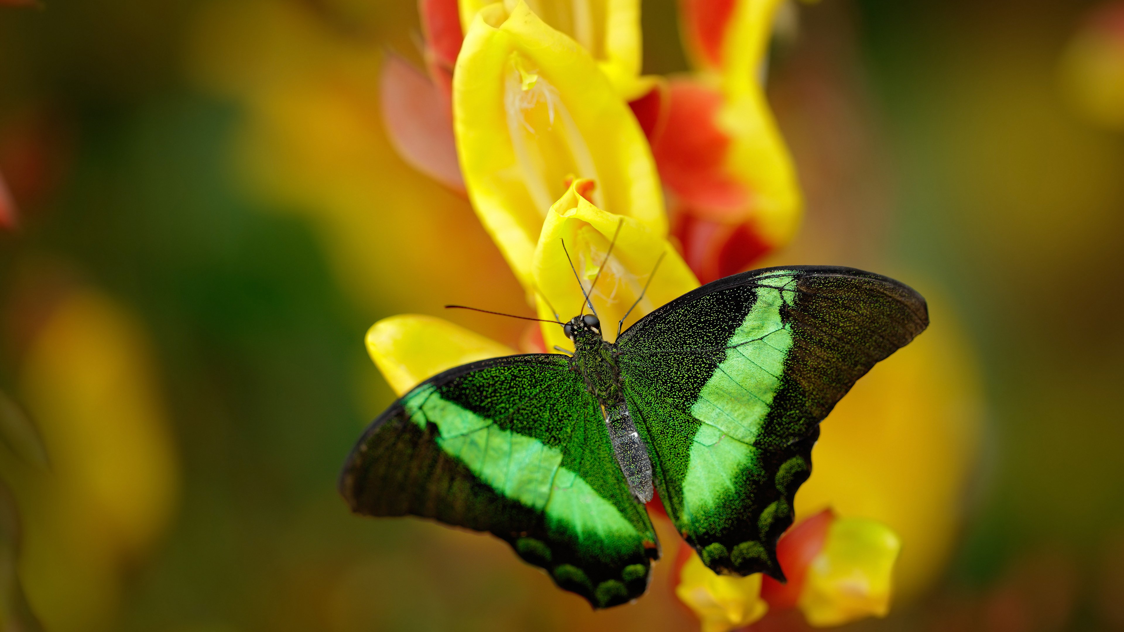 “足球+文化+旅游”深度融合产业在全国多地加速推动,行业前景光明