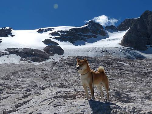 “足球+文化+旅游”深度融合产业在全国多地加速推动,行业前景光明