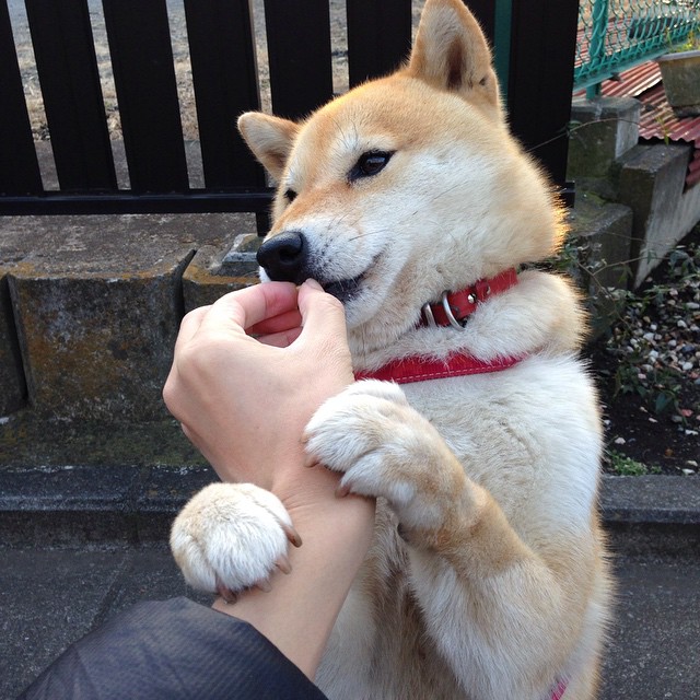 【战术解析】丁俊晖如何利用攻守策略掌控全场,丁俊晖球技到底如何