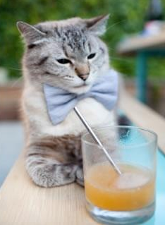 JIUYOU GAMING-乌拉圭男足在巴黎奥运会上展现出强大的进攻火力，乌拉圭男足名单